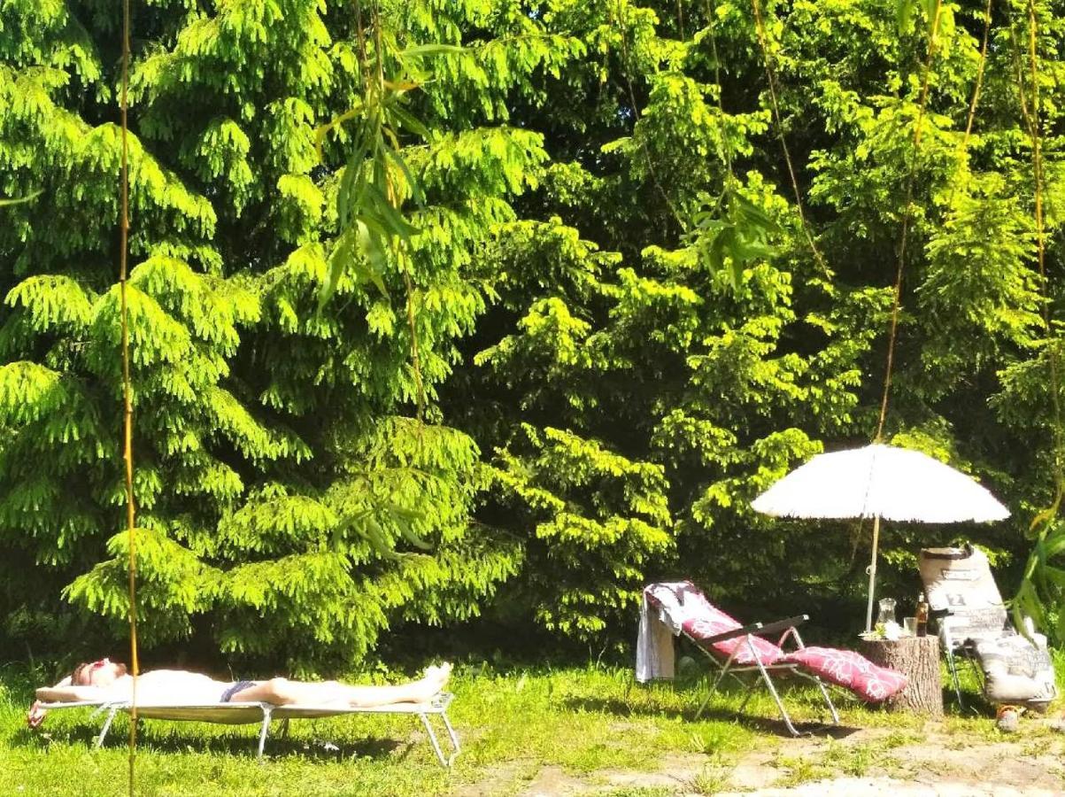 Stara Szkolas7 Noclegi,Mzajezierze 8 14-330 Mazury Maldyty Ngoại thất bức ảnh